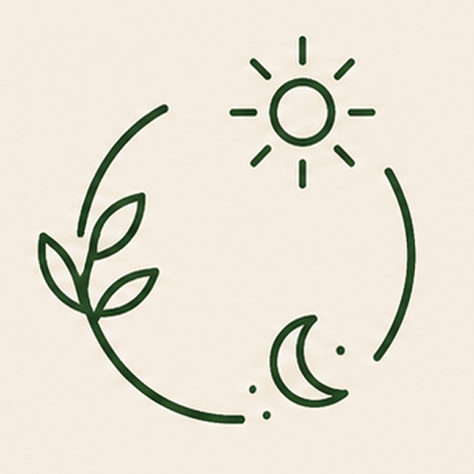 image 12.png
