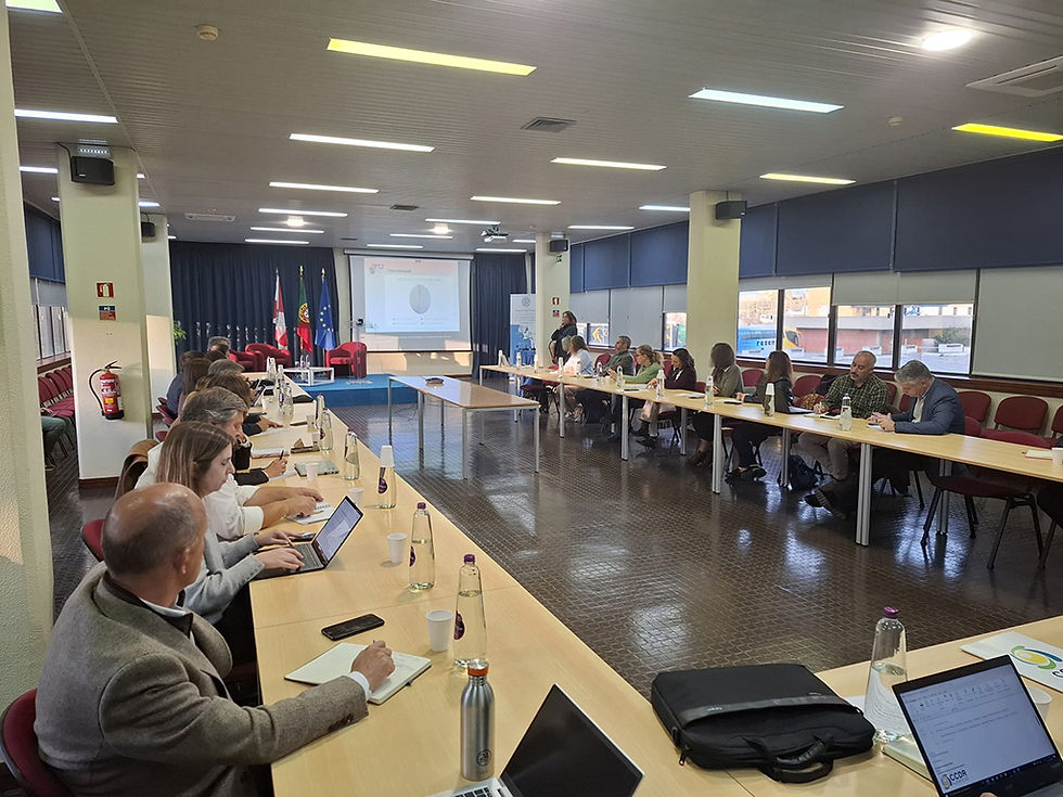 A AES, Associação Empresarial de Sines, presente na reunião do Conselho Geral do Observatório para uma Transição Justa do Alentejo Litoral