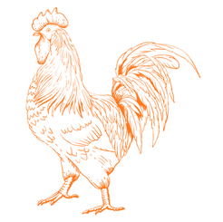Coq Orange.png