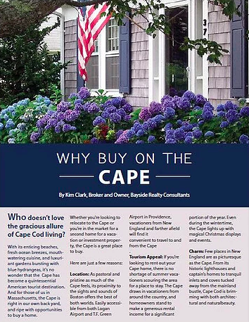 Bayside Realty Article + Designed Ad