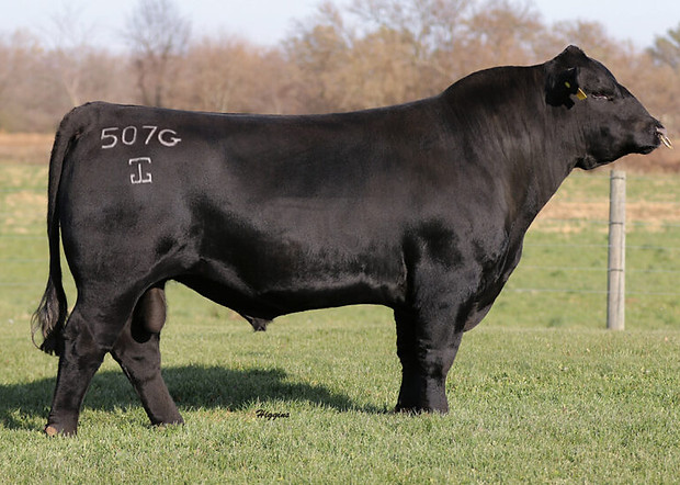 G A R DUAL THREAT.jpg