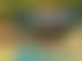 Talent Evening Markets Return for 2026 Season