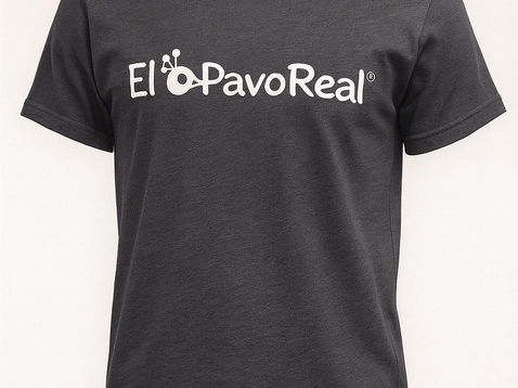 WhatsApp Image 2026-02-28 at 15.11.35