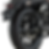 Miniatura: SRV 200