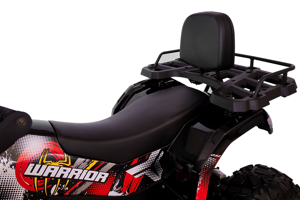 Miniatura: Warrior 200