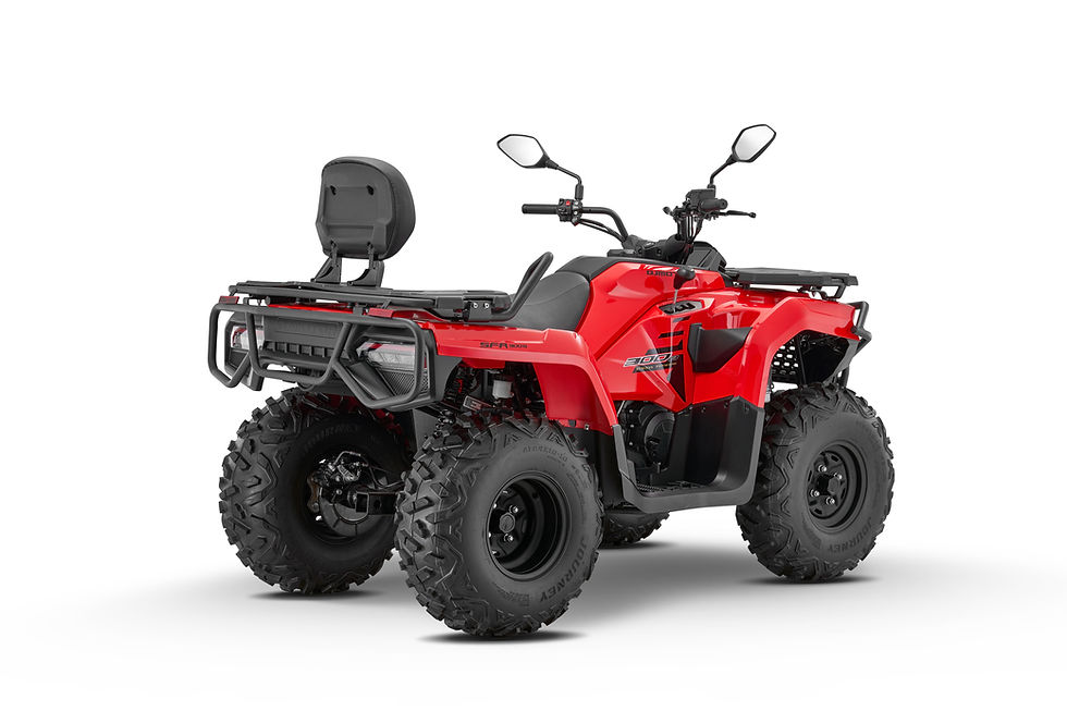 Miniatura: SFA 300 B