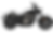 Miniatura: CHINCHILLA 500