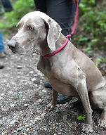 IMG-20220528-WA0016 (2).jpg