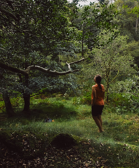 Forest Bathing in a temperate rainforest in the UK