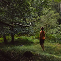 Forest bathing in temperate rainforest in the UK
