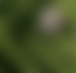 Lessons learnt in 2025