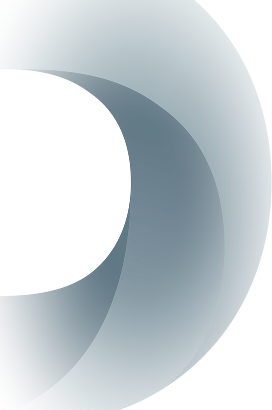 Provident Financial Services P Logo