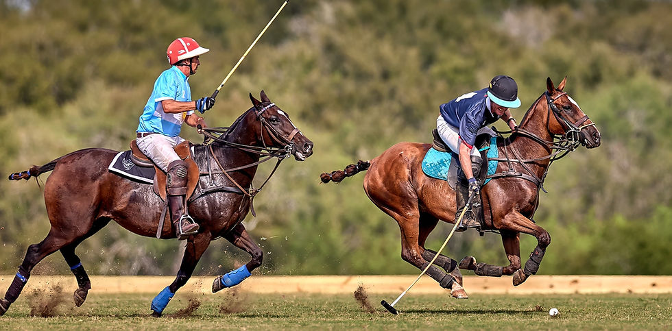 APCpolochallenge1.jpg