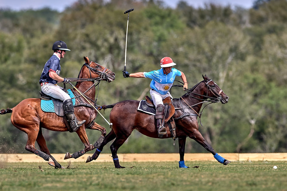 Apcpolochallenge7.jpg