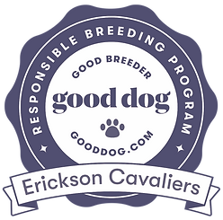 erickson-cavaliers-badge (1)_edited_edited_edited.png