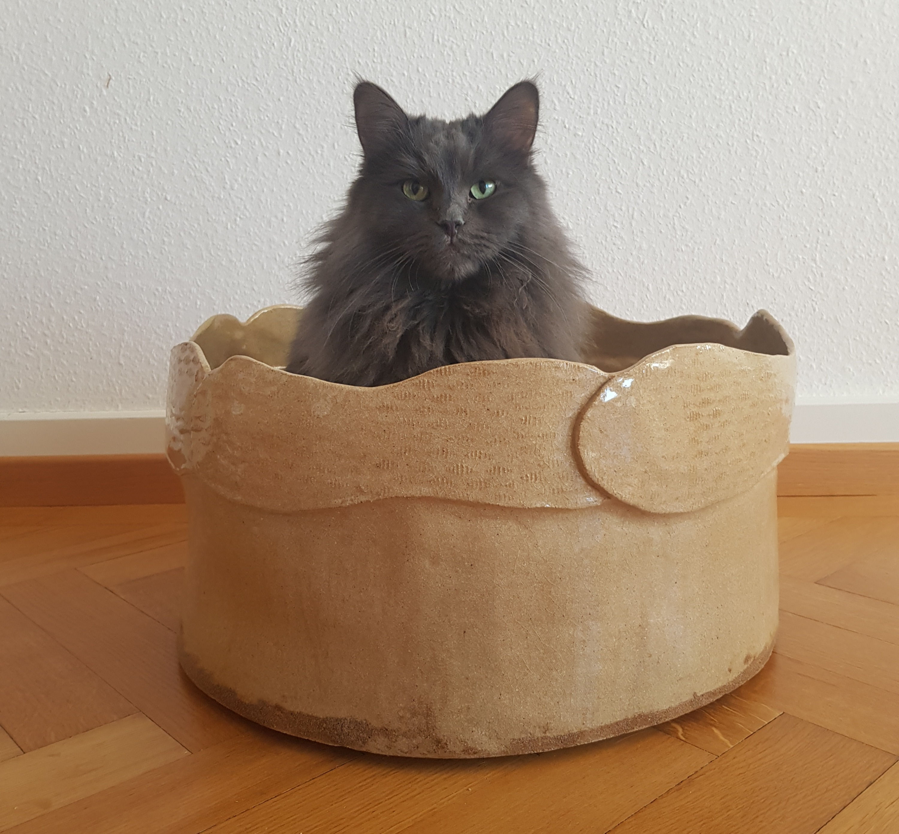 Modèle Milo avec contremarche avec imprimé poisson sur la contremarche