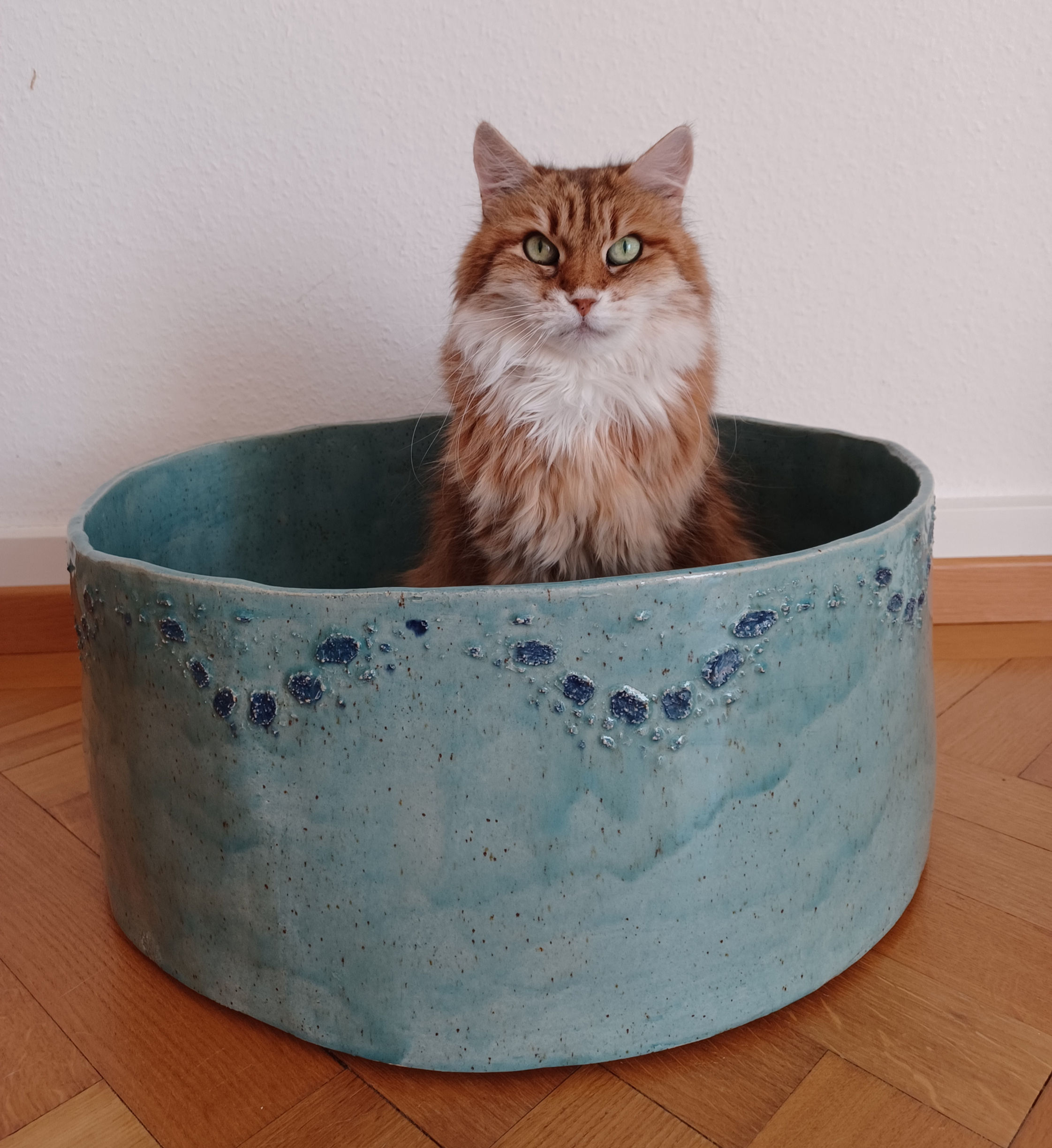 Modell Pizzo in türkisblau und blauer Bordüre