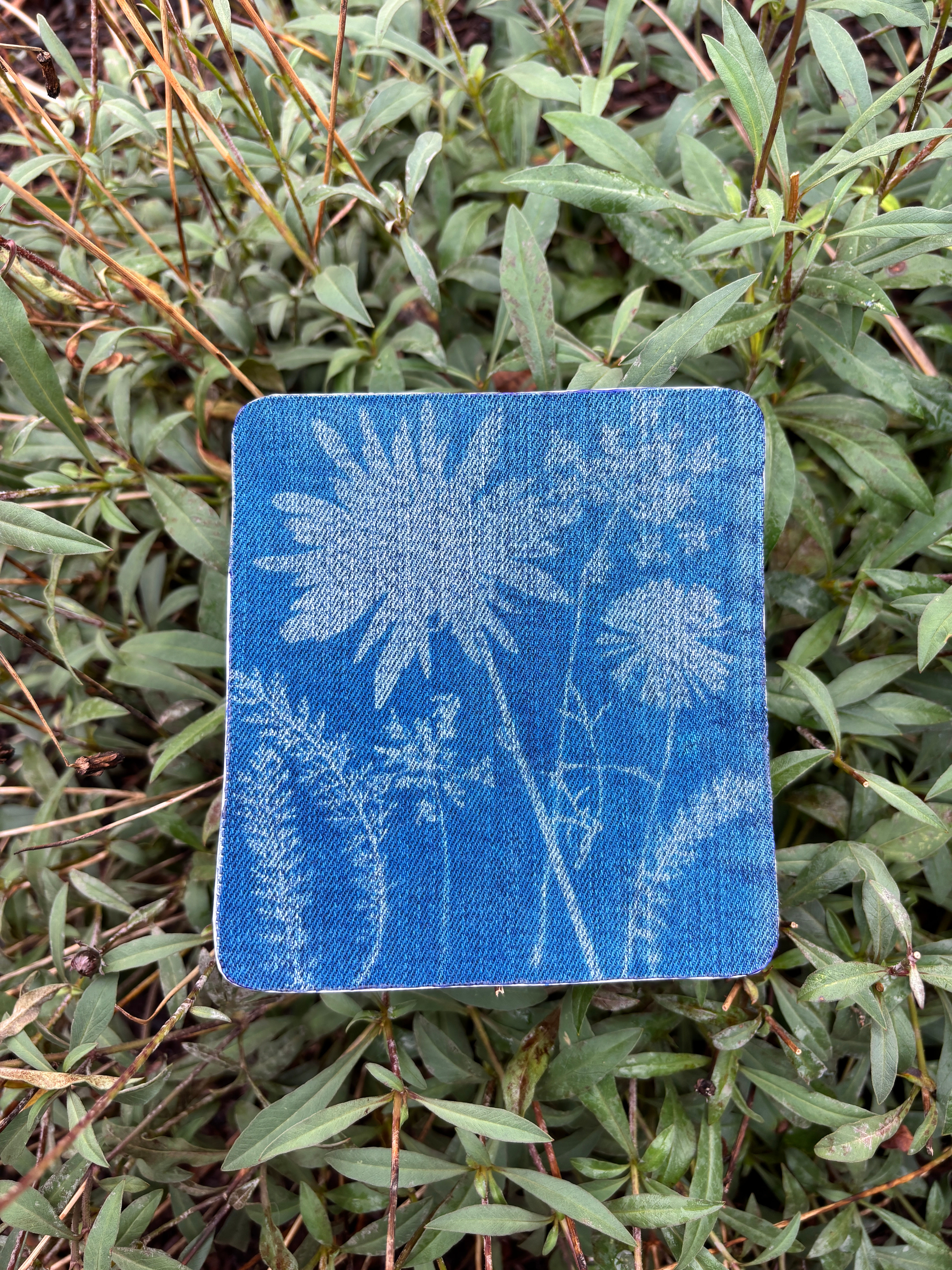 Cyanotype Iron-On Patch | 4.5" x 5"