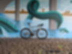 30221072_Unknown.JPEG