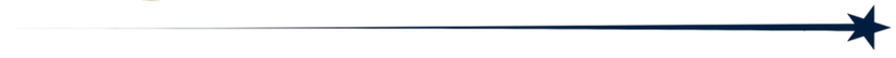Navy Star.png