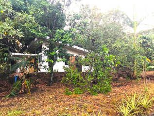 Casa-Mango-6-768x576.jpeg