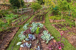 gardens-1.jpeg