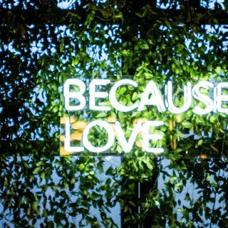 Because Love Neon, $450 (installation included)