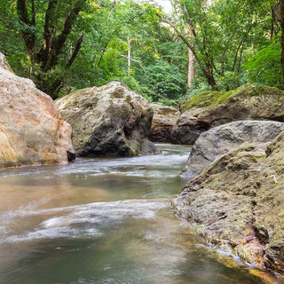 La-Ecovilla_Rio_Florian-Kuster-101-1.jpeg
