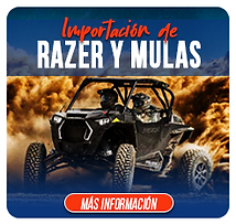 Sin-título-1_0001_RAZER.png