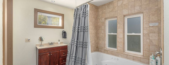 Blue Heron Bathroom Hot Springs Getaway NC Vacation Rental