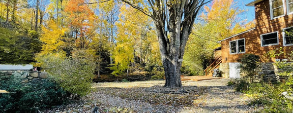 Creekhouse Yard Fall.jpg