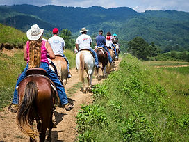 Sandy Bottom Trail Rides horseback riding