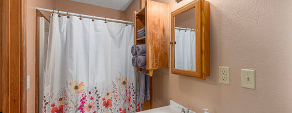 Limestone Cabin Bathroom Front Vacation Rental Hot Springs Getaway NC