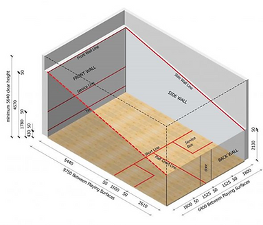 Dimensions single squash court