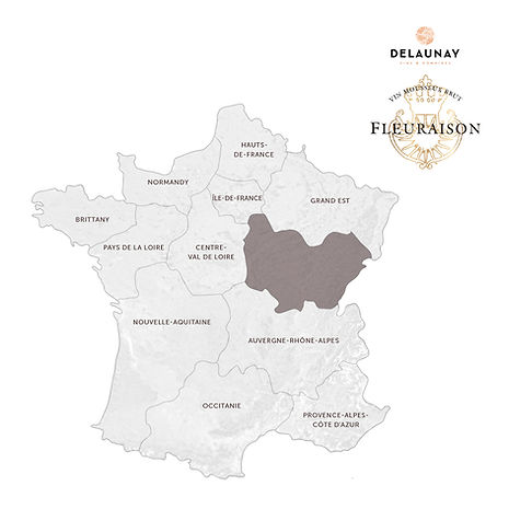 DELAUNAY FLEURAISON MAP