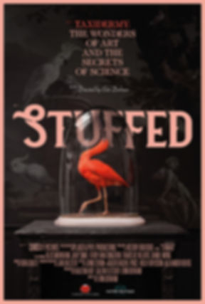 Stuffed.jpeg