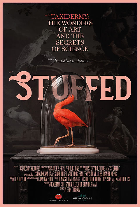 Stuffed.jpeg