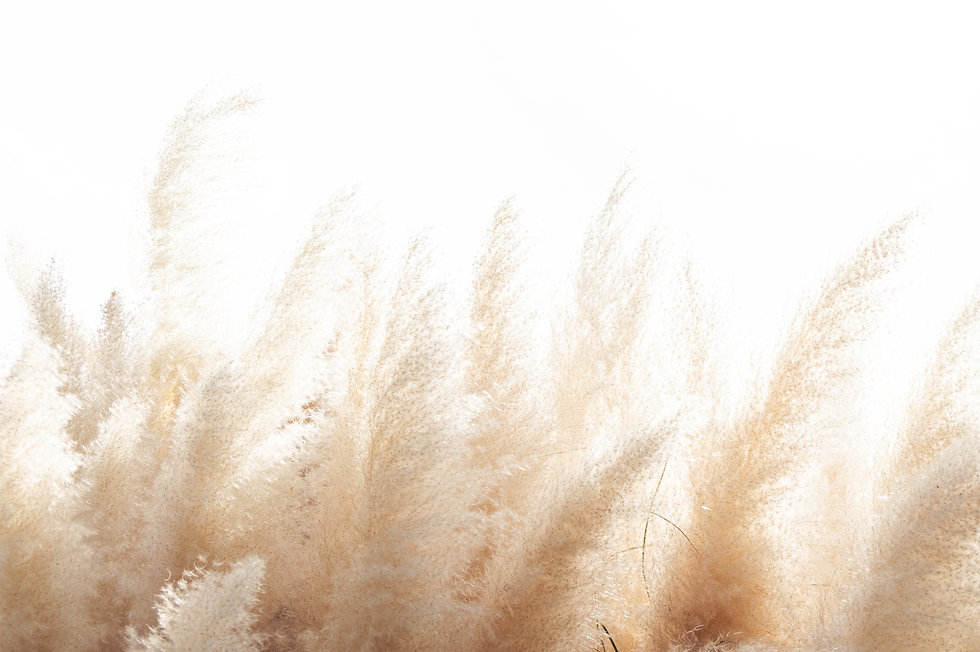 AdobeStock_233065807.jpeg