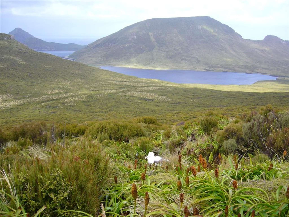 Aotearoa Before Us VI: Subantarctic Islands