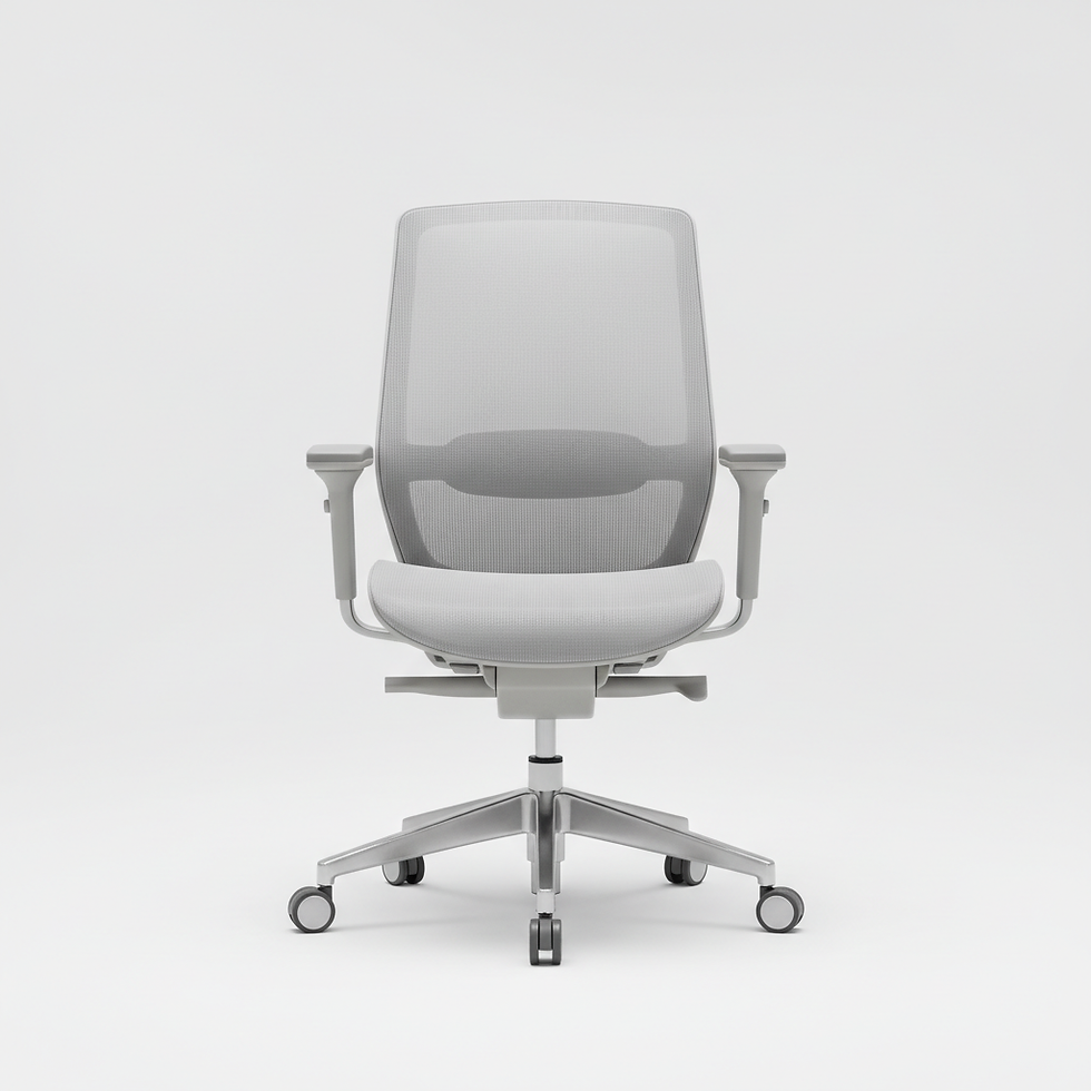 Ergonomik Ofis Koltuğu