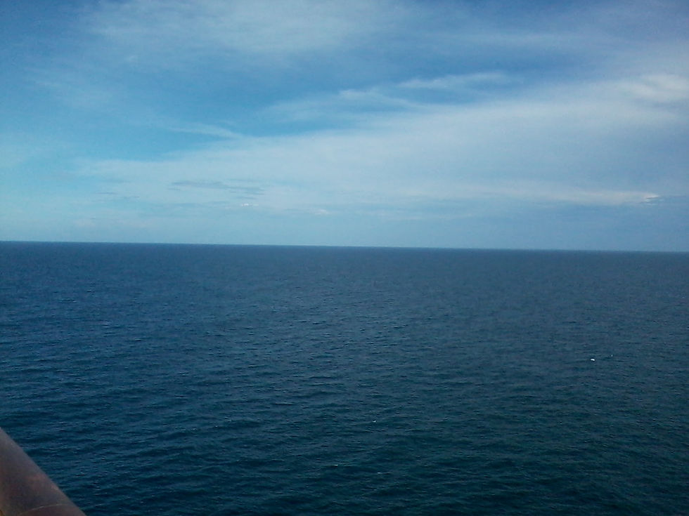IMG_20130602_174731.jpg