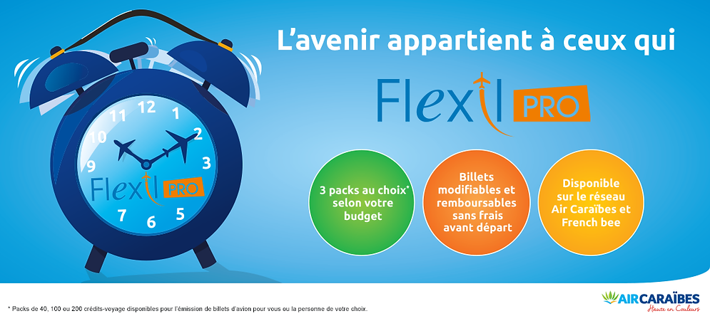 Bannière Air Caraibes