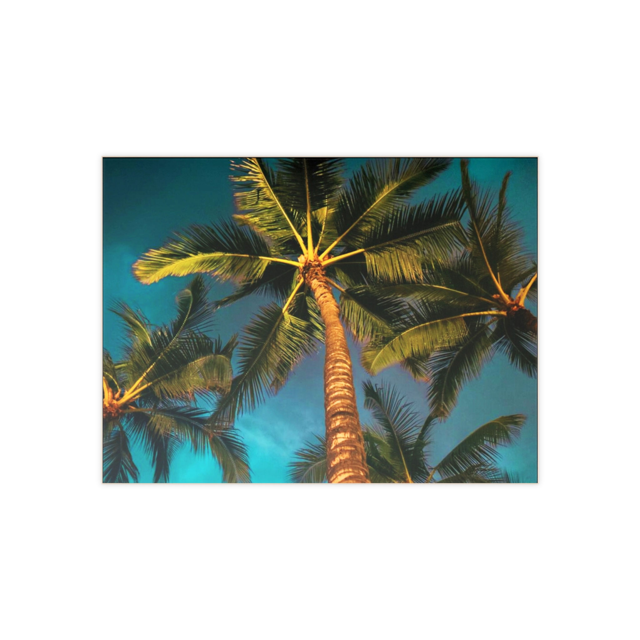 Palm Tree Ceramic Photo Tile Wall Art