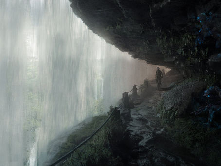 OVERVIEW OF THE SERIES