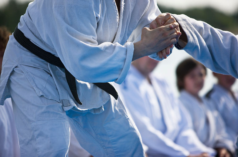 Jujitsu Outdoors