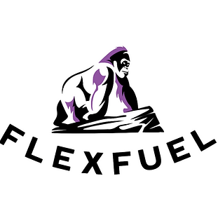 flexfuel file picture.PNG