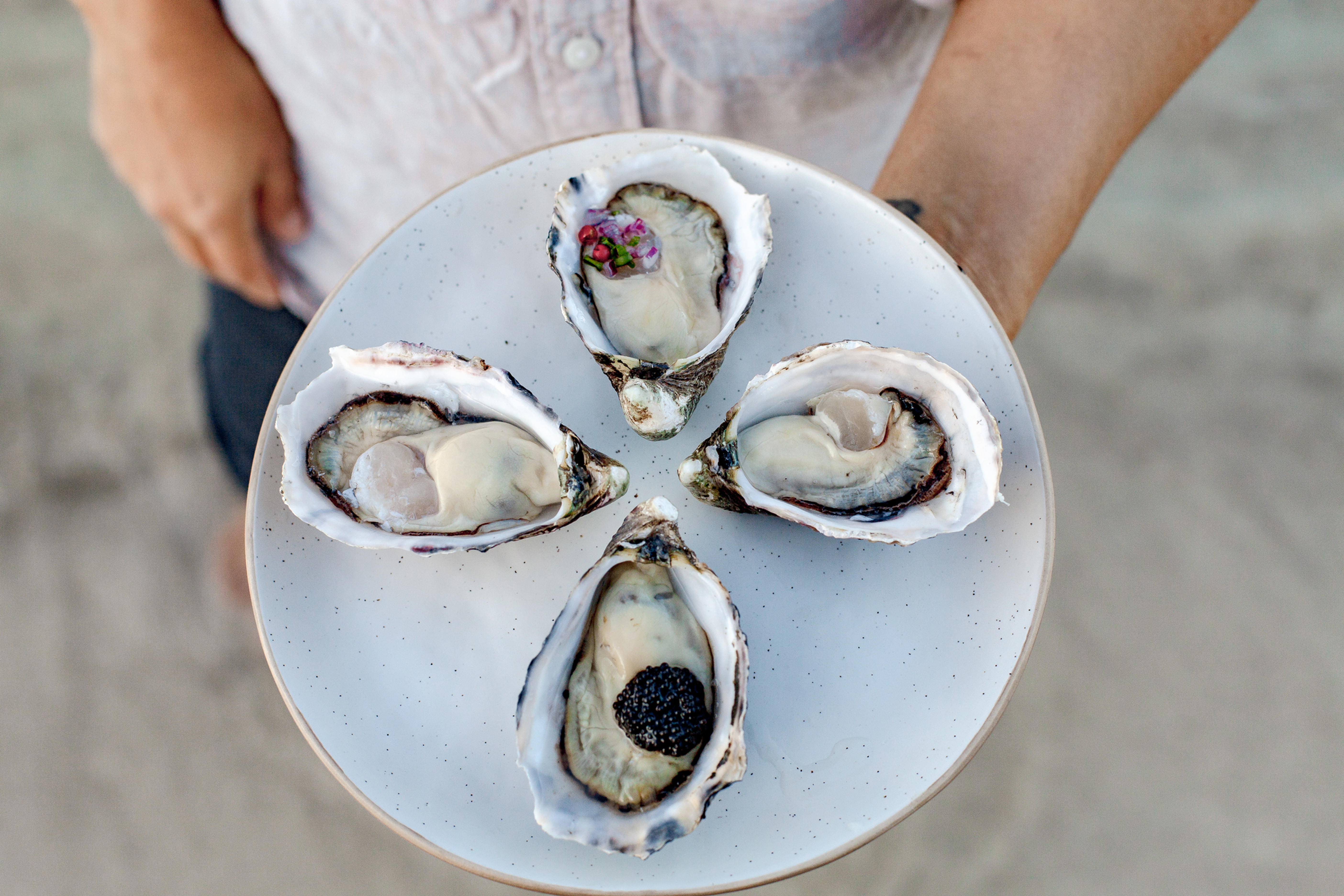 Pacific Oysters, per dozen