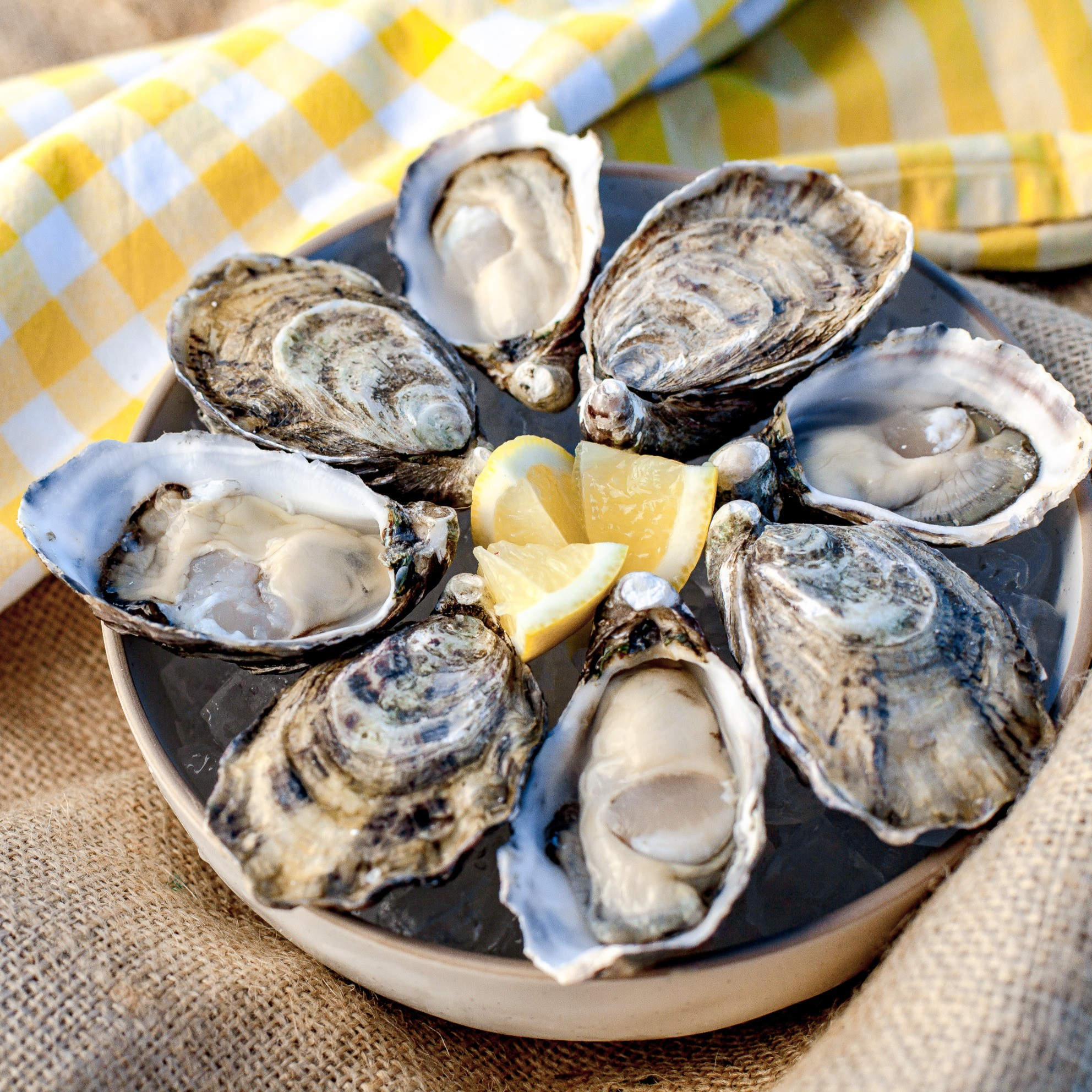 Rock Oysters, per dozen