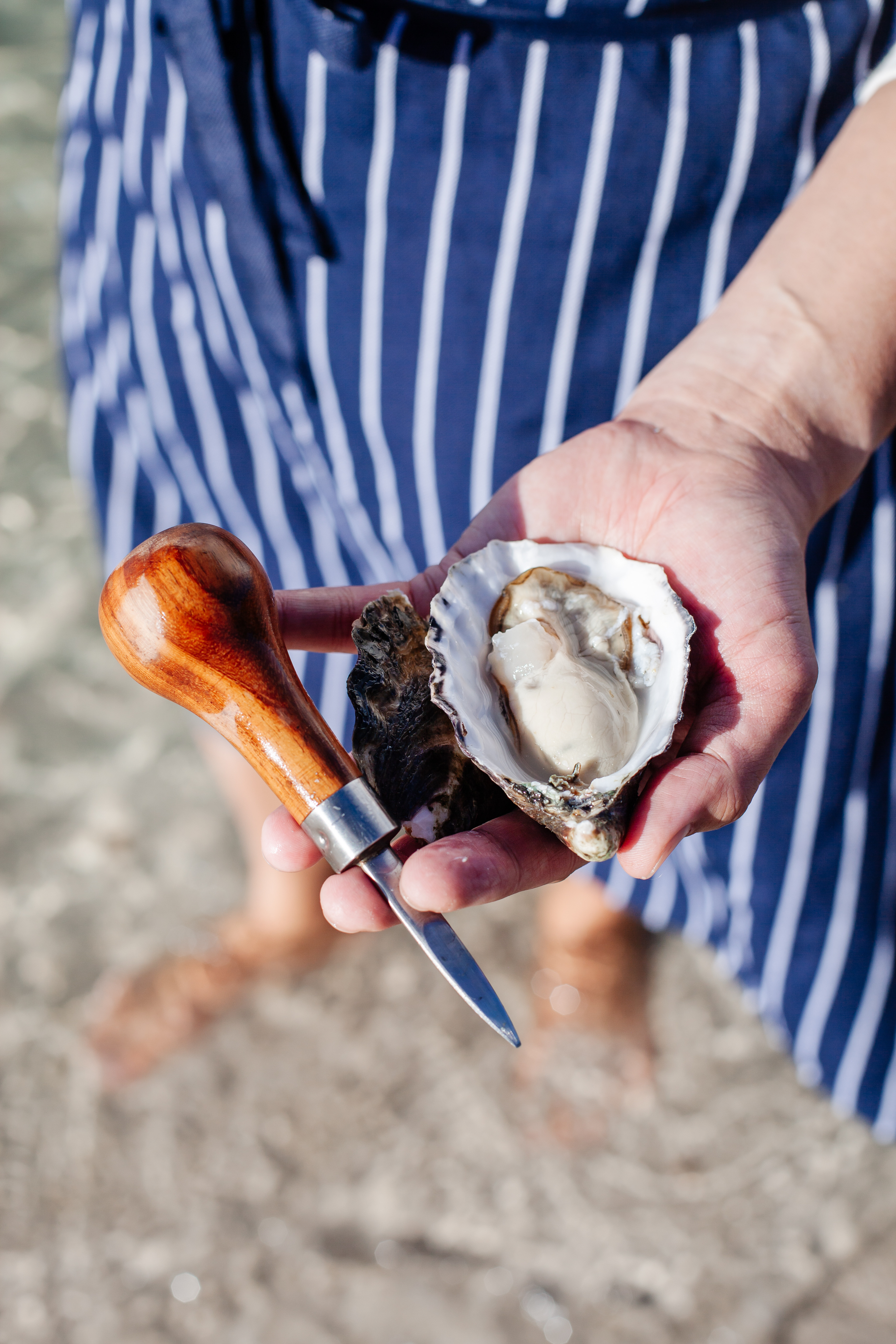 Oyster Knife