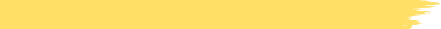 vector.webp
